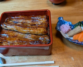 Dinner at Unagi Tei Tomoei (うなぎ亭 友栄)