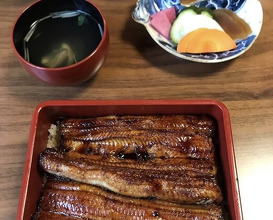 Dinner at Unagi Tei Tomoei (うなぎ亭 友栄)