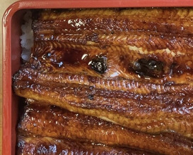Dinner at Unagi Tei Tomoei (うなぎ亭 友栄)