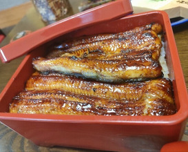 Dinner at Unagi Tei Tomoei (うなぎ亭 友栄)