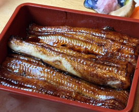 Dinner at Unagi Tei Tomoei (うなぎ亭 友栄)
