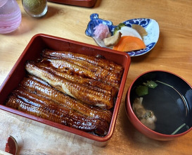 Dinner at Unagi Tei Tomoei (うなぎ亭 友栄)