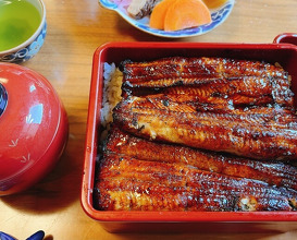 Dinner at Unagi Tei Tomoei (うなぎ亭 友栄)