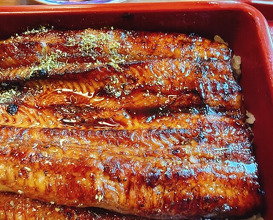 Dinner at Unagi Tei Tomoei (うなぎ亭 友栄)