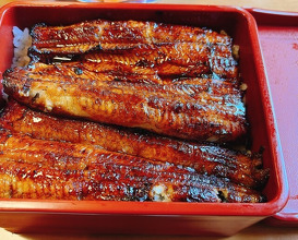 Dinner at Unagi Tei Tomoei (うなぎ亭 友栄)