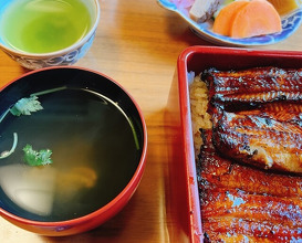 Dinner at Unagi Tei Tomoei (うなぎ亭 友栄)