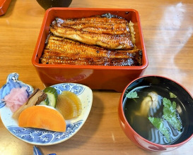 Dinner at Unagi Tei Tomoei (うなぎ亭 友栄)