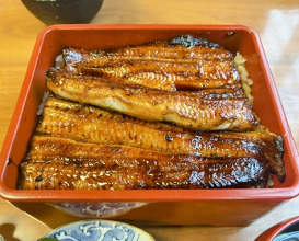 Dinner at Unagi Tei Tomoei (うなぎ亭 友栄)