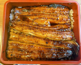 Dinner at Unagi Tei Tomoei (うなぎ亭 友栄)
