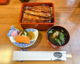 Dinner at Unagi Tei Tomoei (うなぎ亭 友栄)