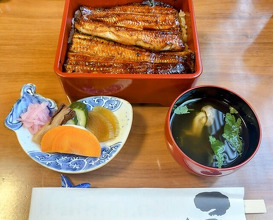 Dinner at Unagi Tei Tomoei (うなぎ亭 友栄)