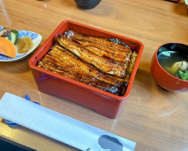 Dinner at Unagi Tei Tomoei (うなぎ亭 友栄)