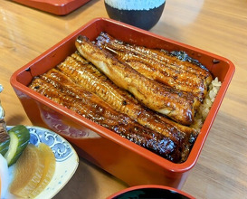 Dinner at Unagi Tei Tomoei (うなぎ亭 友栄)