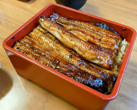 Dinner at Unagi Tei Tomoei (うなぎ亭 友栄)