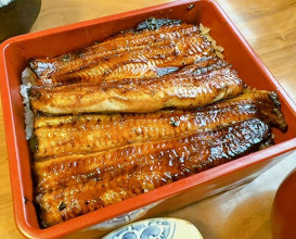 Dinner at Unagi Tei Tomoei (うなぎ亭 友栄)