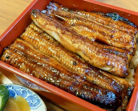 Dinner at Unagi Tei Tomoei (うなぎ亭 友栄)