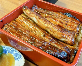 Dinner at Unagi Tei Tomoei (うなぎ亭 友栄)