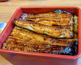 Dinner at Unagi Tei Tomoei (うなぎ亭 友栄)