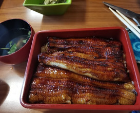 Dinner at Unagi Tei Tomoei (うなぎ亭 友栄)