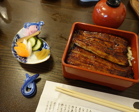 Dinner at Unagi Tei Tomoei (うなぎ亭 友栄)
