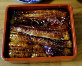 Dinner at Unagi Tei Tomoei (うなぎ亭 友栄)