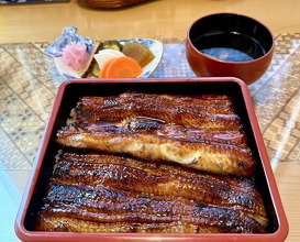 Dinner at Unagi Tei Tomoei (うなぎ亭 友栄)