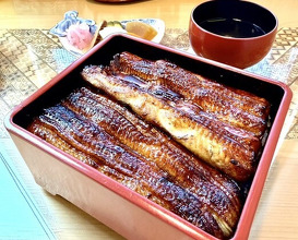 Dinner at Unagi Tei Tomoei (うなぎ亭 友栄)