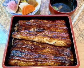 Dinner at Unagi Tei Tomoei (うなぎ亭 友栄)