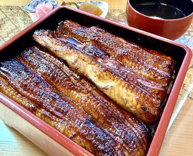 Dinner at Unagi Tei Tomoei (うなぎ亭 友栄)