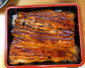 Dinner at Unagi Tei Tomoei (うなぎ亭 友栄)