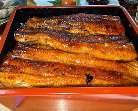 Dinner at Unagi Tei Tomoei (うなぎ亭 友栄)