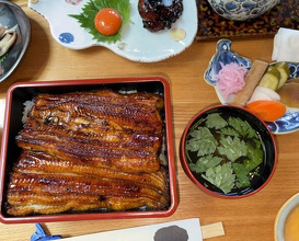 Dinner at Unagi Tei Tomoei (うなぎ亭 友栄)