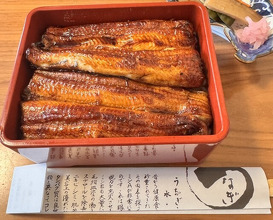 Dinner at Unagi Tei Tomoei (うなぎ亭 友栄)