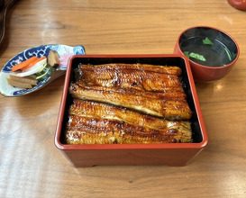Dinner at Unagi Tei Tomoei (うなぎ亭 友栄)
