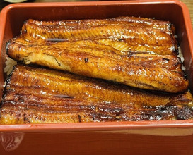 Dinner at Unagi Tei Tomoei (うなぎ亭 友栄)