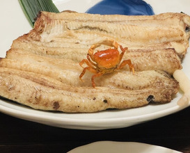 Dinner at Unagi Tei Tomoei (うなぎ亭 友栄)