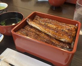 Dinner at Unagi Tei Tomoei (うなぎ亭 友栄)