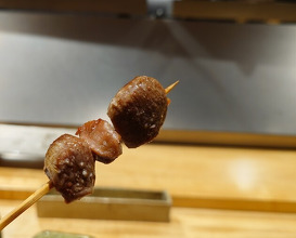Dinner at torila (焼き鳥 とりら)