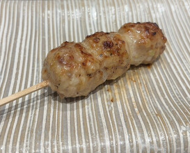 Dinner at Torisaki Jikou