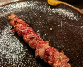 Dinner at Tori Shige (鳥茂)