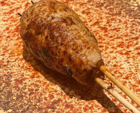 Dinner at Binchotan Yakitori Torishige (備長炭焼鳥 鳥しげ)
