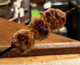 Dinner at Tori Shiki (鳥しき)