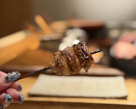 Dinner at Tori Shiki (鳥しき)