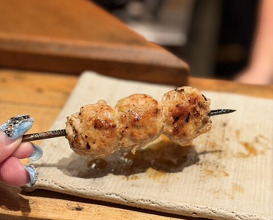 Dinner at Tori Shiki (鳥しき)