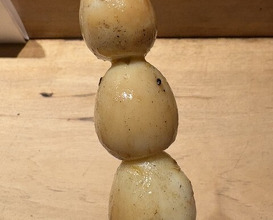 Dinner at Tori Shiki (鳥しき)