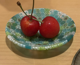 Dinner at Torisho Ishii