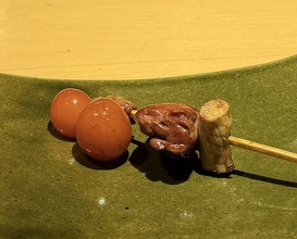 Dinner at Torisho Ishii Hina