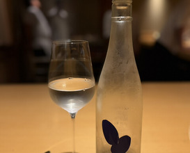 Dinner at Torisho Ishii Hina