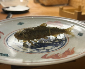 Dinner at Shunsai Ten Tsuchiya (旬彩天 つちや)