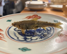 Dinner at Shunsai Ten Tsuchiya (旬彩天 つちや)